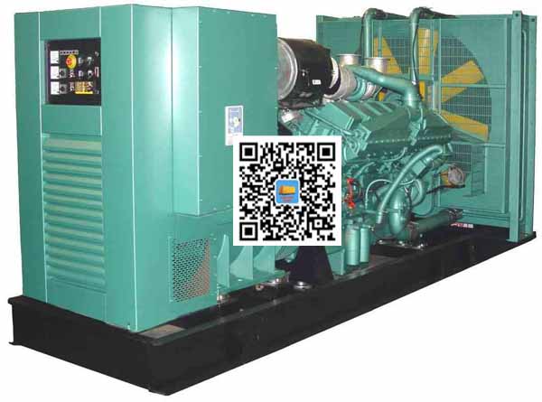 日土笼型异步发电机的电力电子控制技术